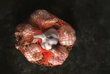 Chinese garlic in Gondal market yard triggers protests in Saurashtra