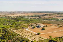 CID Crime to investigate the Swaminarayan Sansthan land scams