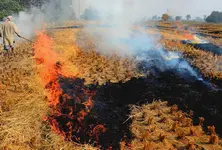 SC seeks report from CAQM on steps taken to curb stubble burning