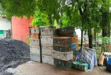 Ancient artefacts of MSU’s archeology dept open to elements for over a month