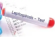 What is extremely rare Leptospirosis which affected Punjab CM