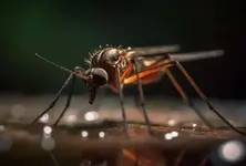 Gujarat sees a surge in waterborne,  vector-borne diseases due to change in weather