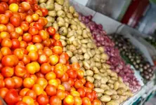 Farmers’ share from retail prices shrinks, RBI calls for reforms