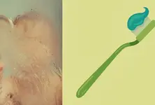 Study finds over 600 different viruses from shower heads, toothbrushes