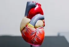 1st sign of Alzheimer’s in women linked to quality of good cholesterol: Study