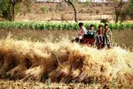 India ranks 105th on Global Hunger Index, raising serious concerns of hunger