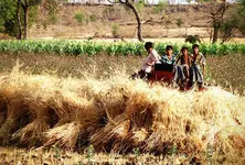 India ranks 105th on Global Hunger Index, raising serious concerns of hunger