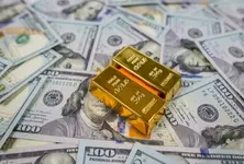 Foreign exchange reserves drop $10.7 billion to $690.43 billion