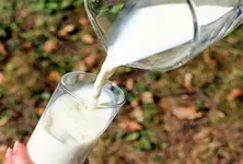 Milk adulteration racket uncovered in Amreli; one held with fake products