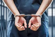 700 kg beef seized in Gandhinagar, one held