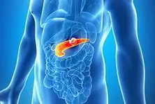 Most people unaware obesity can raise 20% lifetime risk of pancreatic cancer: Study