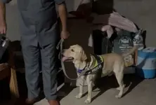 Meet Gujarat’s alcohol-sniffer dog Adrev