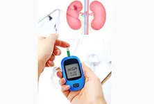 Japanese researchers find diabetes drugs’ potential to protect kidneys