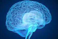 Scientists decode brain activity that can help treat anxiety and depression