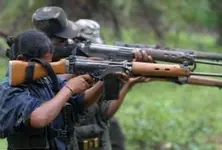 Seven Maoists killed in encounter with police in Telangana