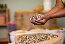 Gujarat’s subsidised grains meant for the poor sold by black marketeers