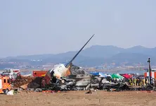 South Korea plane crash: Eyewitnesses report sparks in engine, bird strike