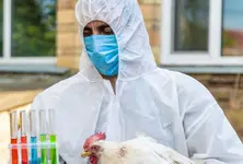 First human bird flu death in US reported