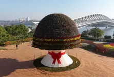 Ahmedabad Flower Show 2025 sets Guinness World Record for largest flower bouquet