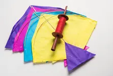 Over 2,303 cases filed in two years against Chinese manja sellers