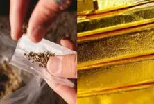 Gold, hydroponic drugs seized from Ahmedabad airport from two different passengers