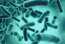 Swimming in lakes with still waters can cause bacterial pneumonia: Study