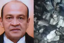 SC releases Delhi Police's video showing burnt cash at judge's residence