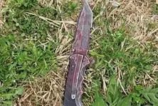 Six injured in Washington stabbing; suspect in custody