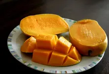 From Gir to Global: Gujarat’s Kesar mangoes redefining India’s mango trade