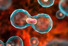 Scientists create novel method to identify healthy and cancerous cells