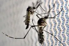 Over 380 monthly malaria cases in Gujarat only 96 in Ahmedabad in six years