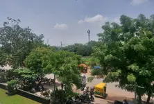 70 lakh trees planted in Ahmedabad in three years PM Modi mentions in Mann Ki Baat