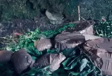 Terror hideout busted in Poonch, 5 IEDs recovered amid LoC firing by Pakistan