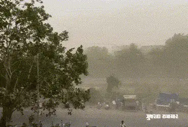 Unseasonal thunderstorm leaves 14 dead in Gujarat rain to continue in 29 districts for 5 days