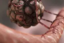 Researchers find genetic fingerprints to predict efficacy of immunotherapy