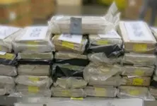 ₹68.61 lakh worth of marijuana, drugs seized in separate raids across Surat