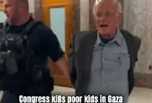 Ben & Jerry co-founder arrested for accusing US of funding bombs to ‘kill kids in Gaza’