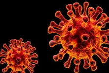 Ahmedabad reports seven covid cases, all put under home isolation