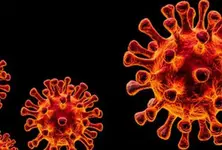 Ahmedabad reports 4 new COVID-19 cases, active case tally reaches 31