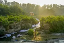 NGT takes suo motu cognizance of ‘illegal’ bleaching units in Haryana’s Panipat
