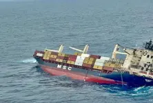 Kerala declares Liberian ship capsize as a state-specific disaster, CMFRI begins study