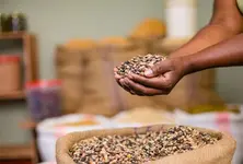 PDS grain deliveries to halt in Gujarat from June 1 as shopkeepers protest over KYC compensation