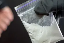 Chinese nationals accused of smuggling agroterrorism pathogen into US