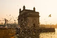 Gateway of India to Navi Mumbai in 40 mins Mumbai to get water taxis