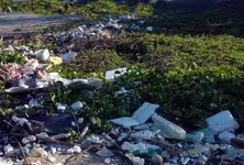 After plastic found in dead elephant's belly, TN forest division flags open waste dumping