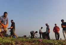 Over 18,000 kg waste collected in Gujarat’s statewide plastic, beach clean-up drive