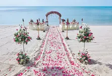 Goa wedding harassment: Event company alleges abuse by bride’s family