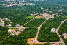 13008 hectares of forest land encroached in Gujarat 3700 plus hectares allocated to private projects