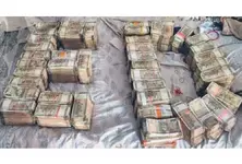 ED raids Nexa Evergreen in Ahmedabad Jaipur in rs 2676 cr scam promising high returns on investment in Dholera