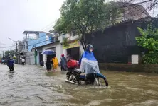 Typhoon Wutip leaves seven dead in Vietnam